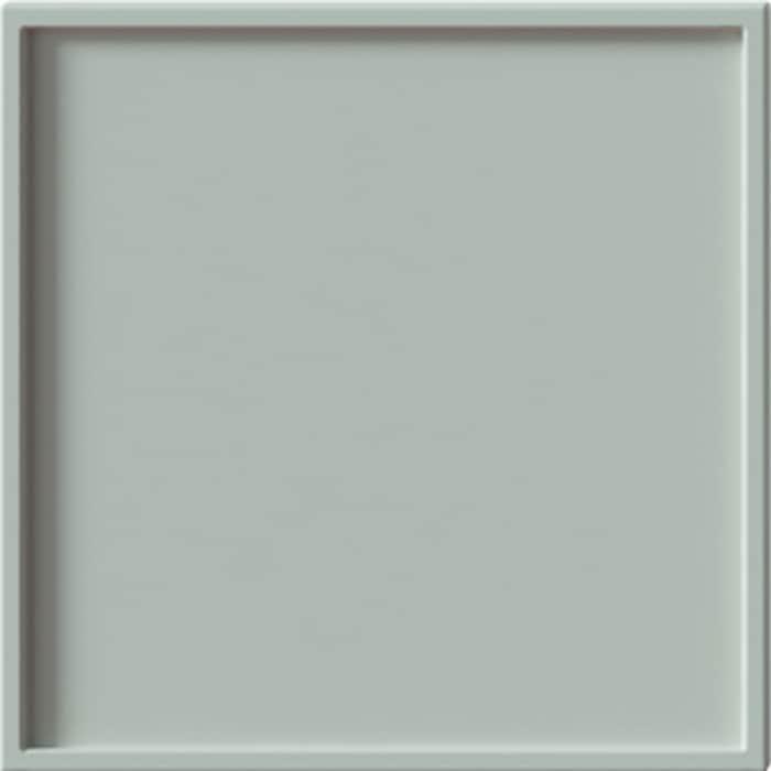 PLAIN, DUST