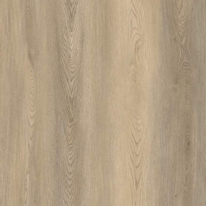 STARBOARD