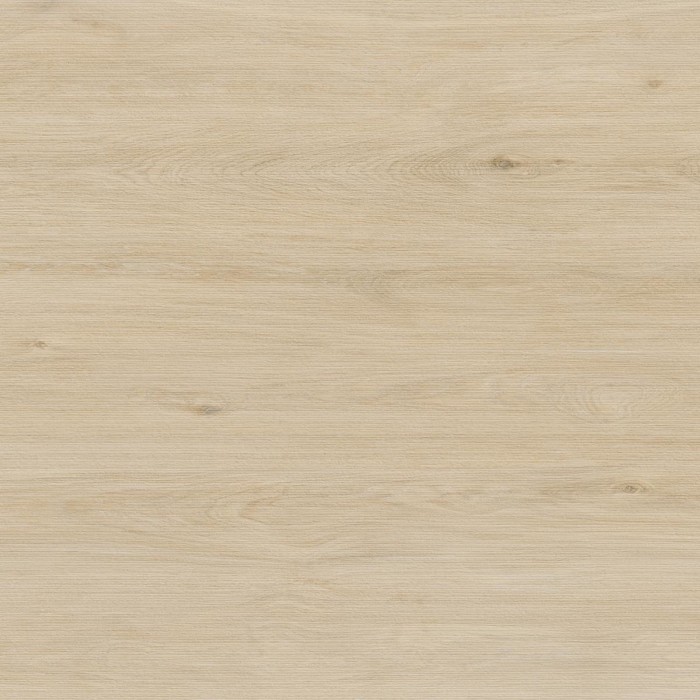 ENOKI