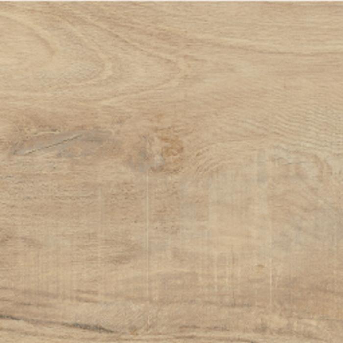 WOODLAND ELM