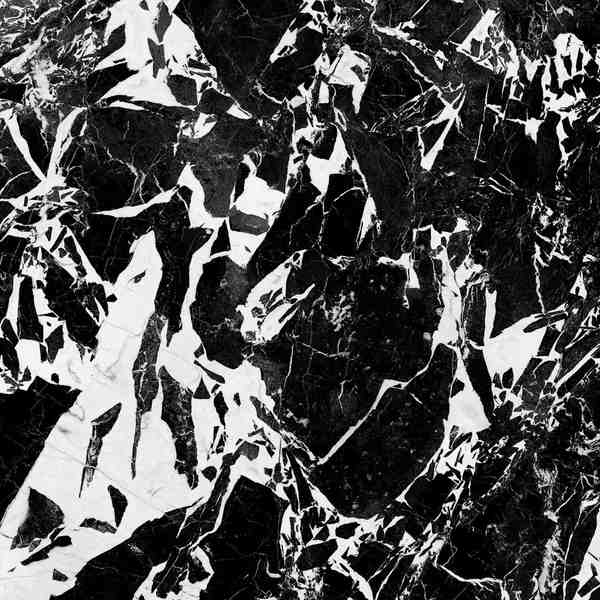 BLACK & WHITE-field