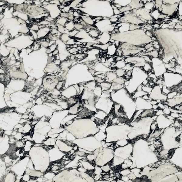 BLACK & WHITE-field
