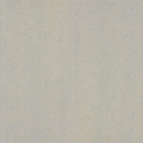 FLINT-field