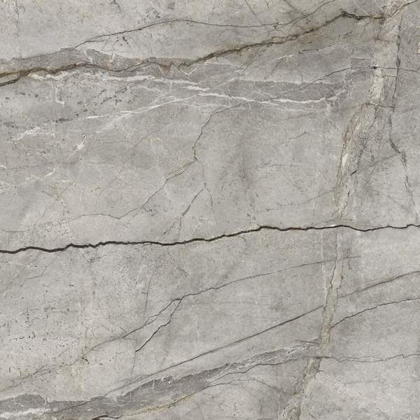 SILVER ROOT-field