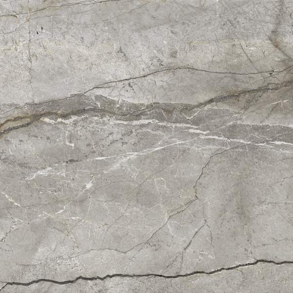 SILVER ROOT-field