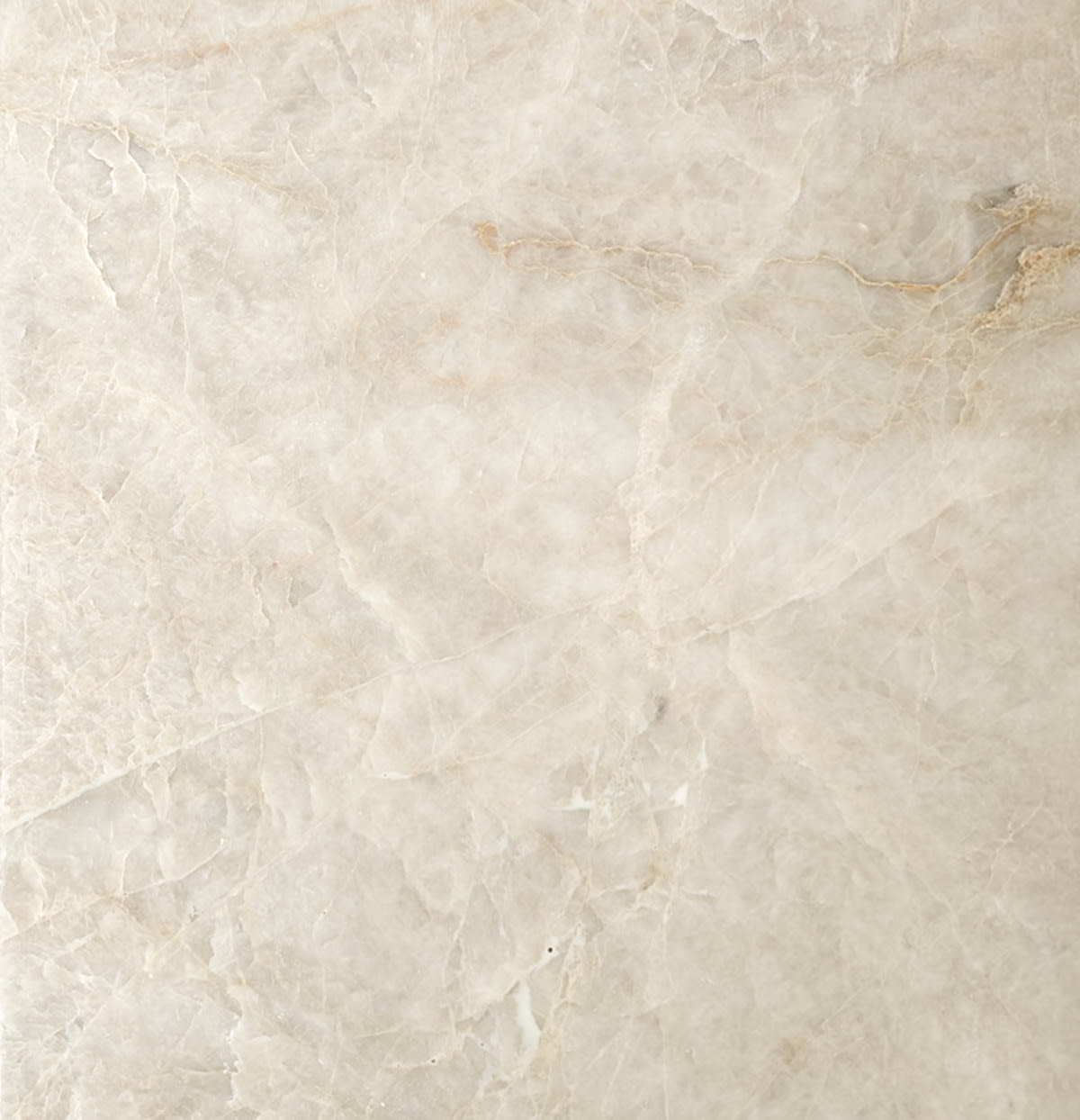 Close-up of Taj Mahal honed quartzite tile in warm white. Cloudy cream tones with fine gold veining
